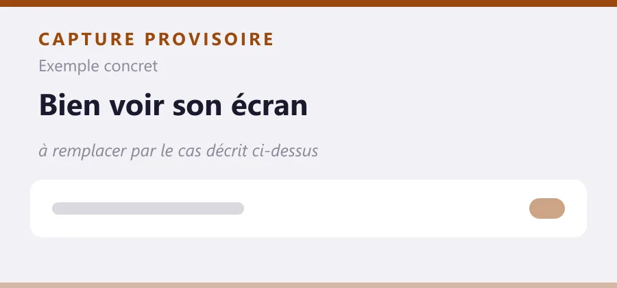 Maquette provisoire de mise en page, à remplacer par une capture de le cas décrit ci-dessus.
