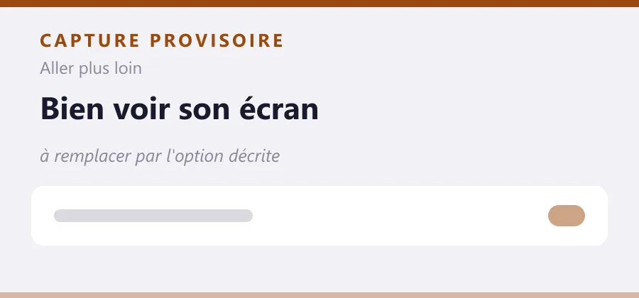 Maquette provisoire de mise en page, à remplacer par une capture de l'option décrite.