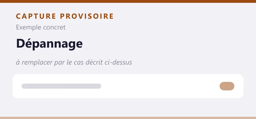 Maquette provisoire de mise en page, à remplacer par une capture de le cas décrit ci-dessus.
