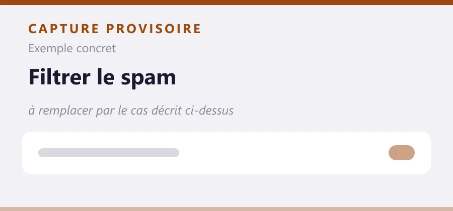 Maquette provisoire de mise en page, à remplacer par une capture de le cas décrit ci-dessus.