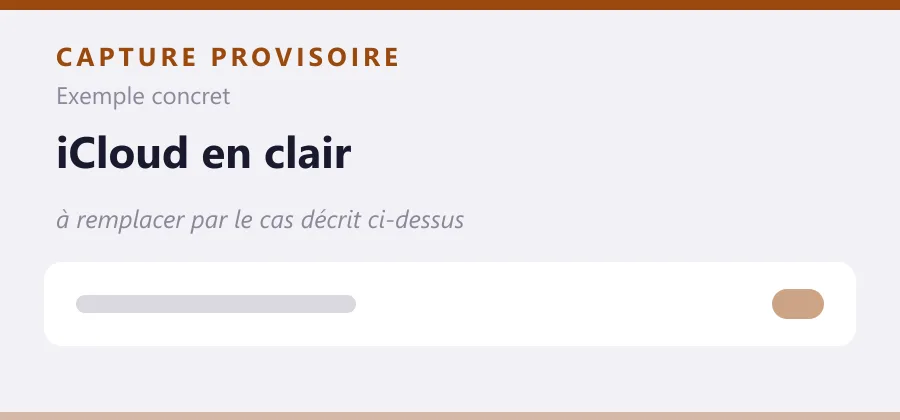 Maquette provisoire de mise en page, à remplacer par une capture de le cas décrit ci-dessus.
