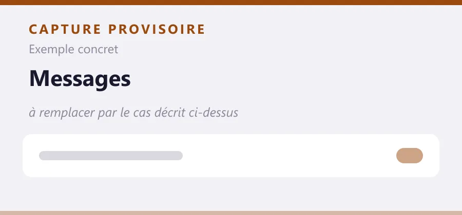 Maquette provisoire de mise en page, à remplacer par une capture de le cas décrit ci-dessus.