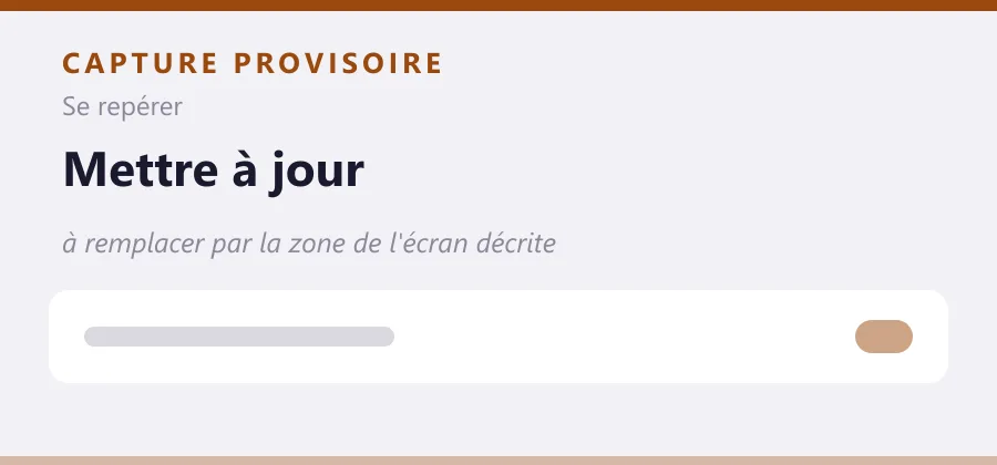 Maquette provisoire de mise en page, à remplacer par une capture de la zone de l'écran décrite.