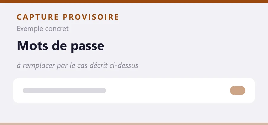 Maquette provisoire de mise en page, à remplacer par une capture de le cas décrit ci-dessus.