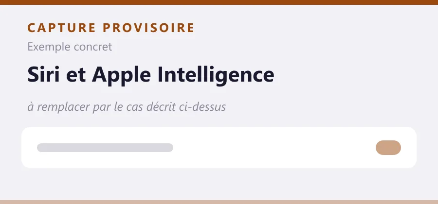 Maquette provisoire de mise en page, à remplacer par une capture de le cas décrit ci-dessus.