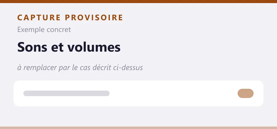 Maquette provisoire de mise en page, à remplacer par une capture de le cas décrit ci-dessus.