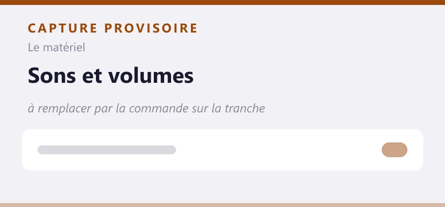 Maquette provisoire de mise en page, à remplacer par une capture de la commande sur la tranche.