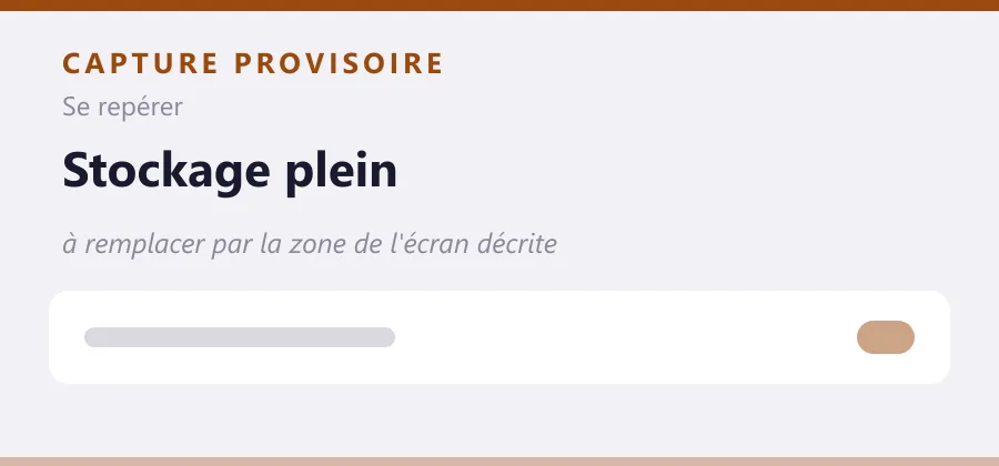 Maquette provisoire de mise en page, à remplacer par une capture de la zone de l'écran décrite.