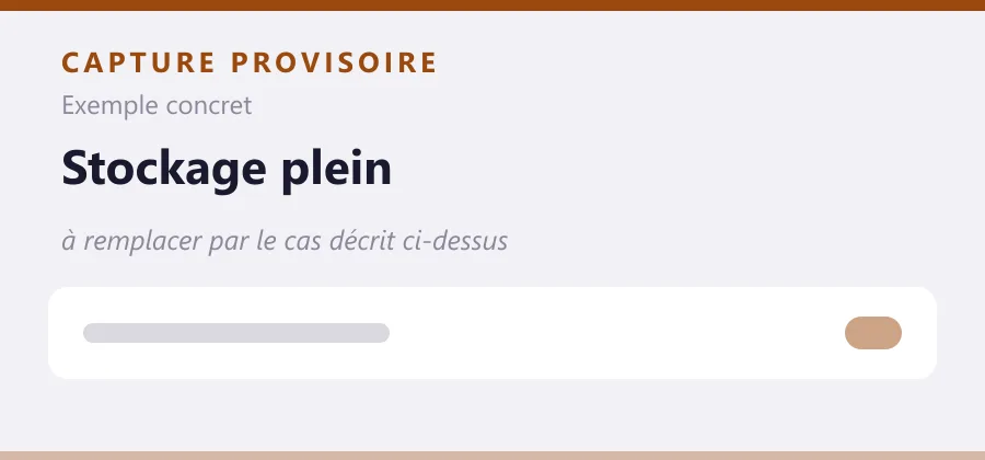 Maquette provisoire de mise en page, à remplacer par une capture de le cas décrit ci-dessus.