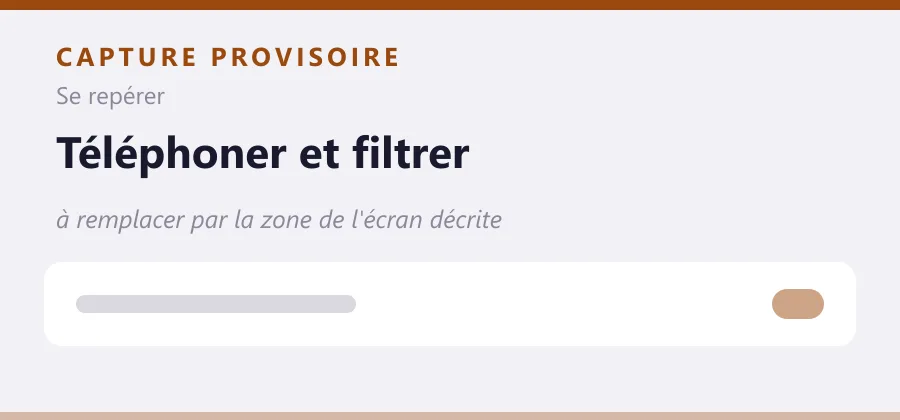 Maquette provisoire de mise en page, à remplacer par une capture de la zone de l'écran décrite.