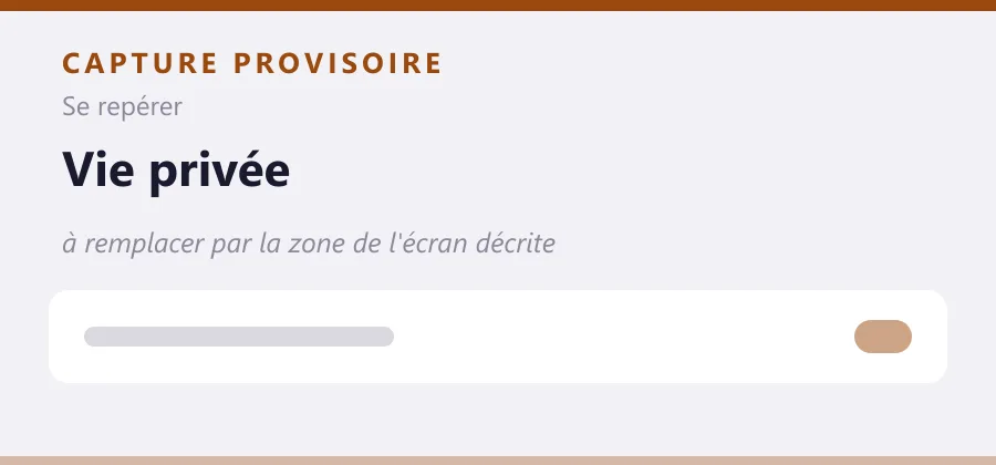 Maquette provisoire de mise en page, à remplacer par une capture de la zone de l'écran décrite.